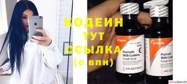 ECSTASY Лагань