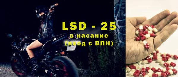 ECSTASY Лагань