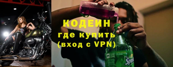 ECSTASY Лагань