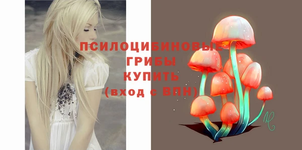 прущий лед Ладушкин