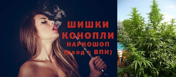 ECSTASY Лагань