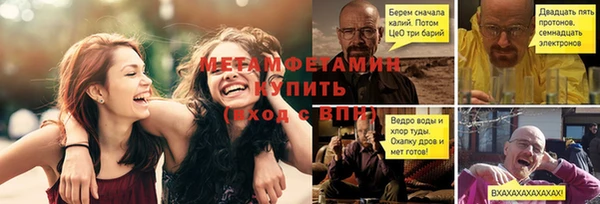 индика Елабуга
