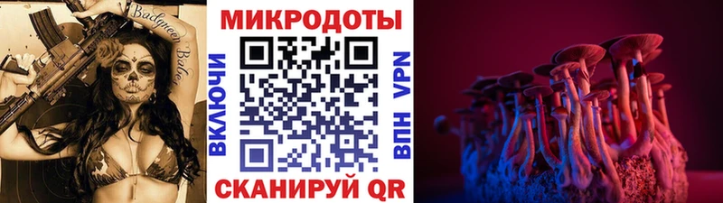 Псилоцибиновые грибы GOLDEN TEACHER  Вытегра 