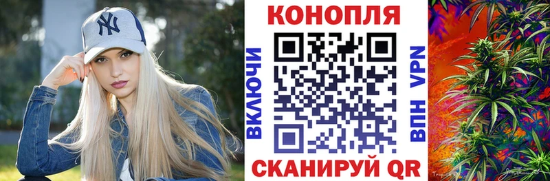 Шишки марихуана Amnesia Вытегра